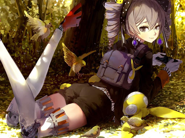 Woman laying ground backpack bird free wallpaper for desktop - medium preview image