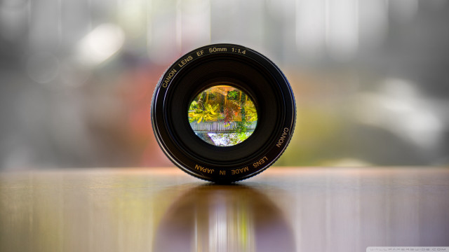 Camera lens table reflection tree free wallpaper for desktop - medium preview image