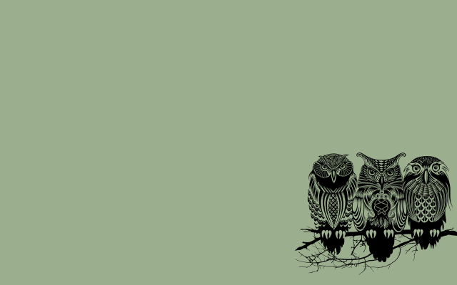 Three owls branch green background free wallpaper for desktop - medium preview image