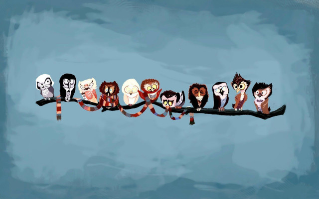 Owls sitting branch sky background free wallpaper for desktop - medium preview image