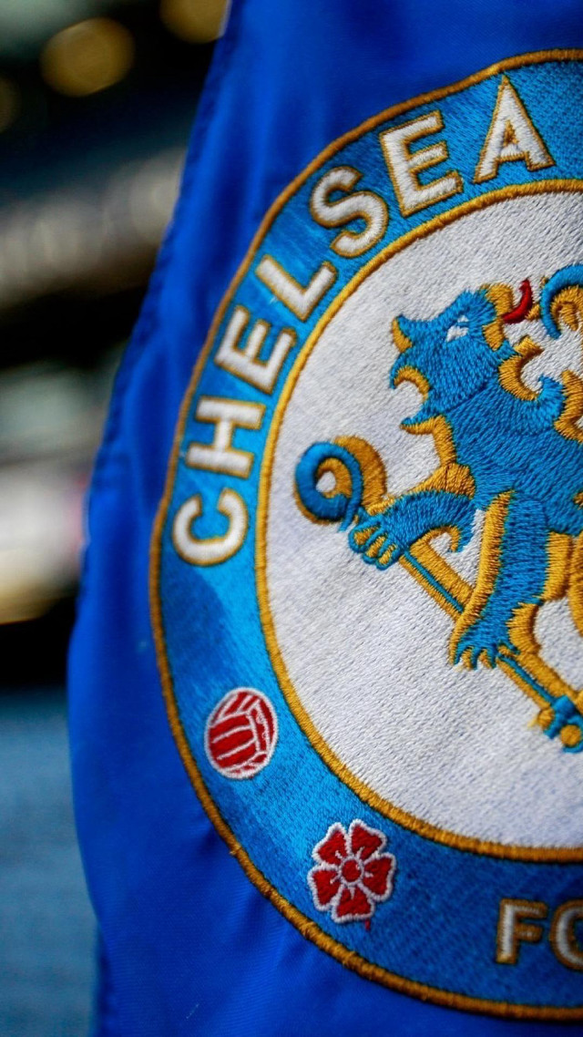 Blue jacket crest flower close free wallpaper for mobile - medium preview image