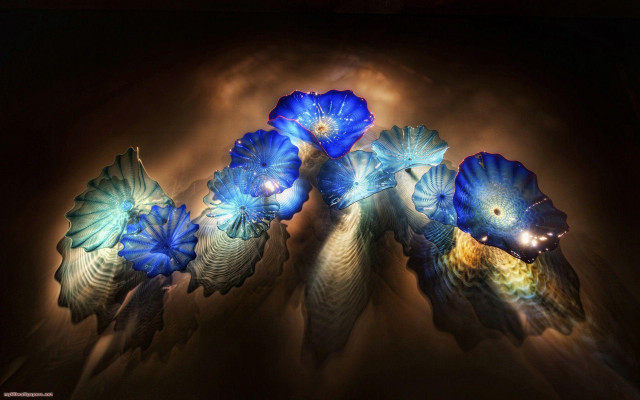 Blue flowers table lights smoke free wallpaper for desktop - medium preview image