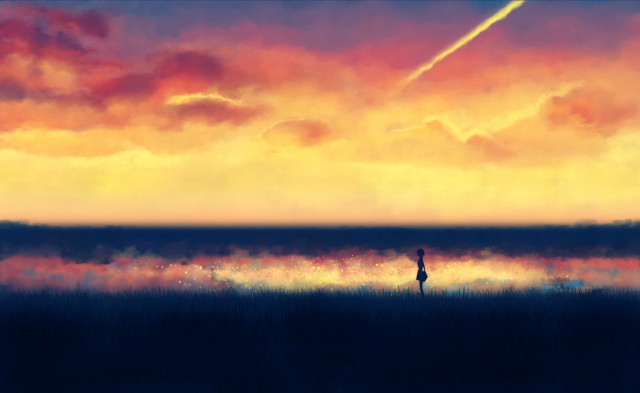 Person field sky plane flying free wallpaper for desktop - medium preview image