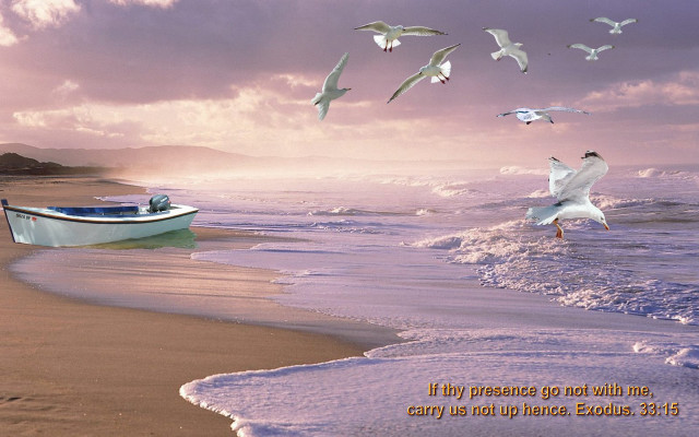 Boat beach seagulls sunset cloudy free wallpaper for desktop - medium preview image