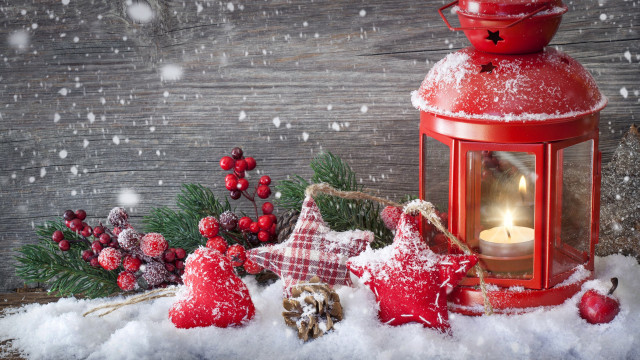 Red lantern decorations snow pine free wallpaper for desktop - medium preview image