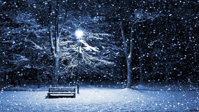 Snowy park night streetlight magic free wallpaper for desktop - medium preview image