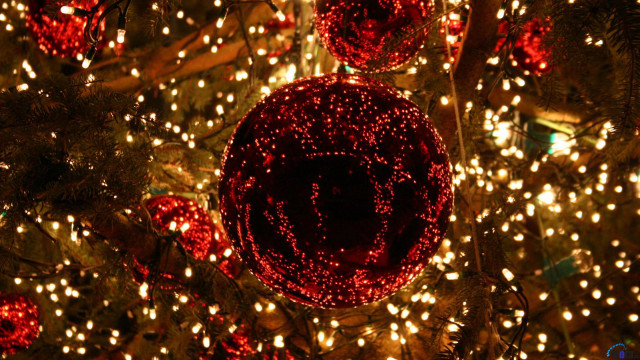 Christmas tree red ball lights #2 free wallpaper for desktop - medium preview image