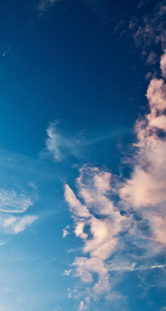 Plane flying sky clouds foreground free wallpaper for mobile - medium preview image