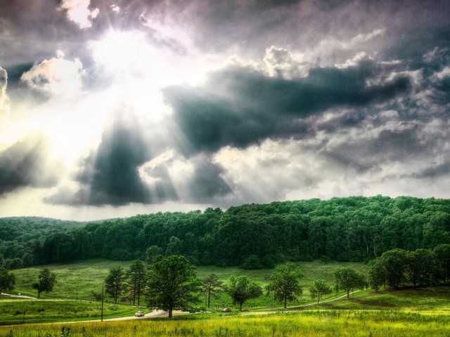 Field road forest sky sunlight free wallpaper for desktop - medium preview image