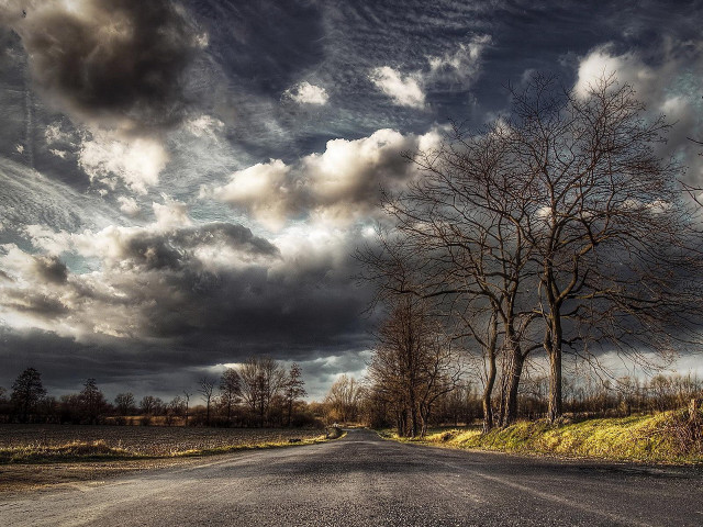 Road tree cloudy sky field free wallpaper for desktop - medium preview image