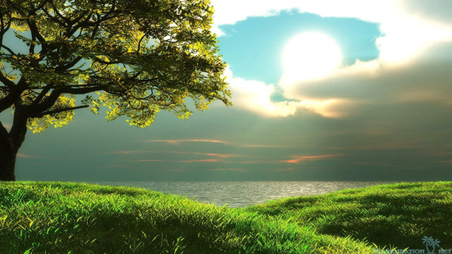 Tree grassy hill lake sun free wallpaper for desktop - medium preview image