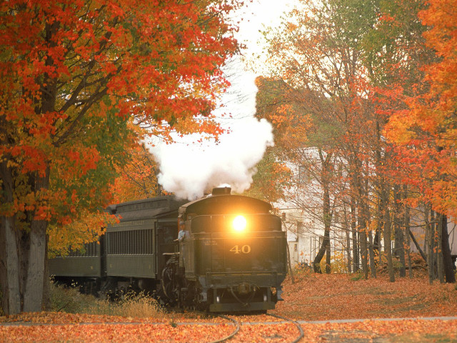 Train forest autumn leaves bright free wallpaper for desktop - medium preview image