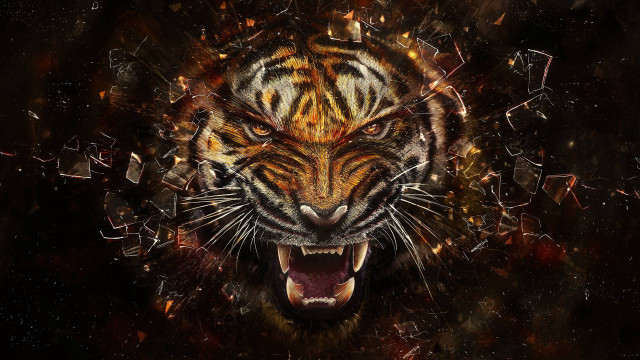 Tiger mouth open teeth wide free wallpaper for desktop - medium preview image