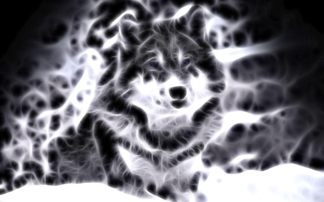 Wolf black white snow background free wallpaper for desktop - medium preview image