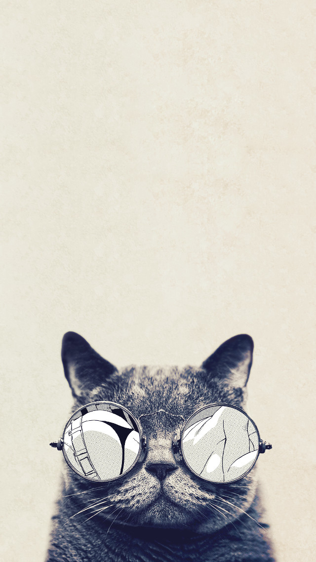 Cat glasses reflection funny face free wallpaper for mobile - medium preview image