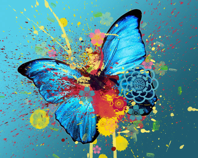 Blue butterfly flower wing paint free wallpaper for desktop - medium preview image