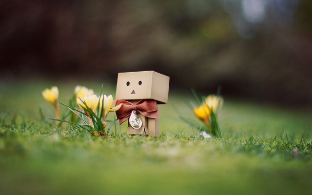 Cardboard toy bow grass flowers free wallpaper for desktop - medium preview image