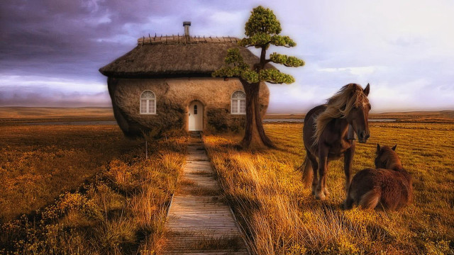 Horse foal field house thatched free wallpaper for desktop - medium preview image