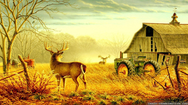 Deer tractor field barn tree free wallpaper for desktop - medium preview image