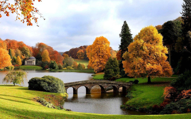 Bridge pond trees orange leaves free wallpaper for desktop - medium preview image