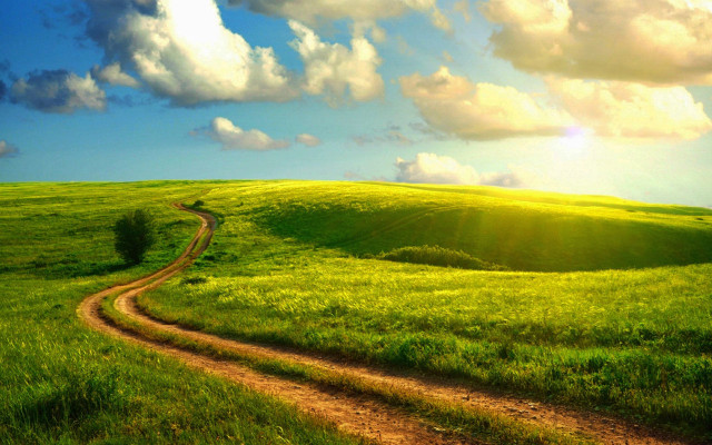 Dirt road green field cloudy #11 free wallpaper for desktop - medium preview image