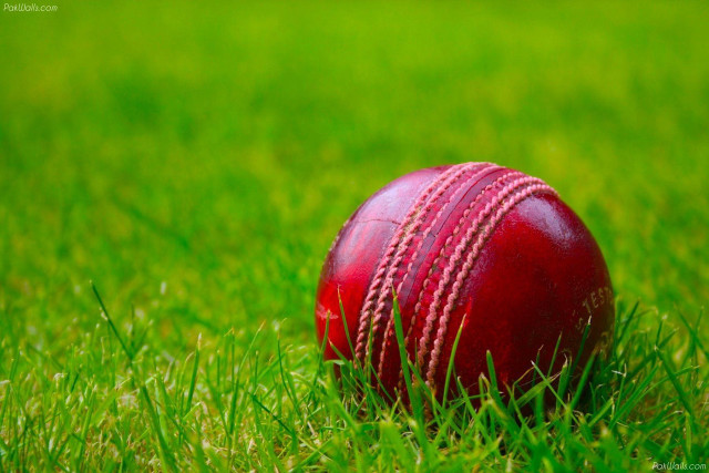 Red cricket ball grass green free wallpaper for desktop - medium preview image