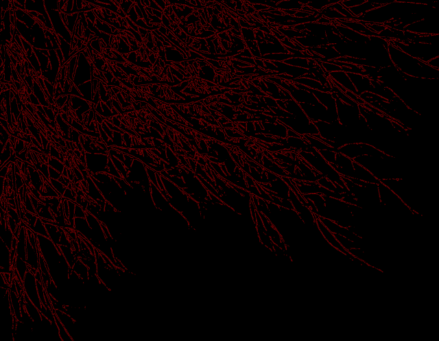Black red branches autumn forest free wallpaper for desktop - medium preview image