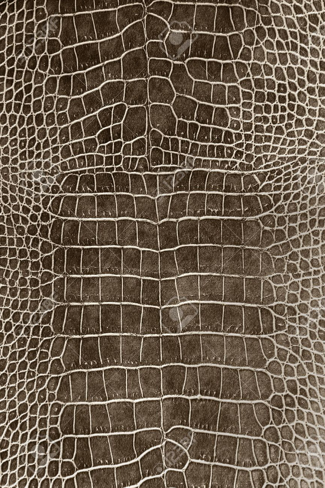 Crocodile skin pattern wallpaper closeup free wallpaper for mobile - medium preview image