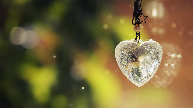Heart shaped glass tree raindrops free wallpaper for desktop - medium preview image