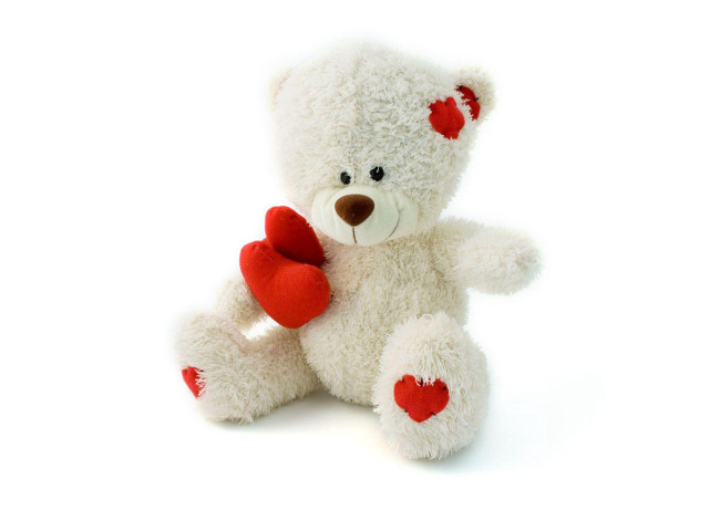 White teddy heart toy rose free wallpaper for desktop - medium preview image