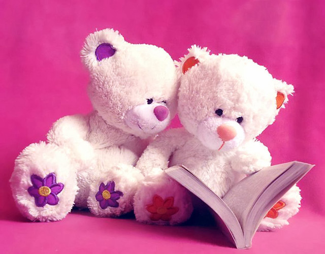 Two white teddy bears holding free wallpaper for desktop - medium preview image