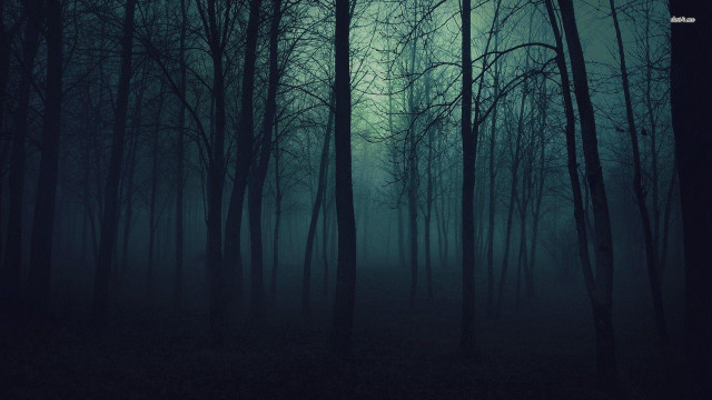 Dark forest foggy sky trees free wallpaper for desktop - medium preview image