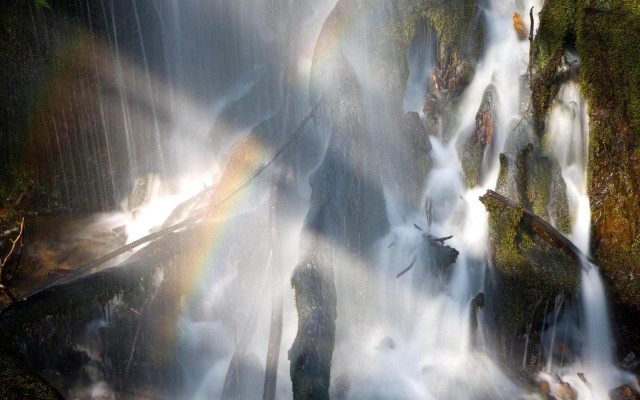 Waterfall rainbow man standing water free wallpaper for desktop - medium preview image