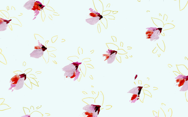Pink red flowers white background free wallpaper for desktop - medium preview image