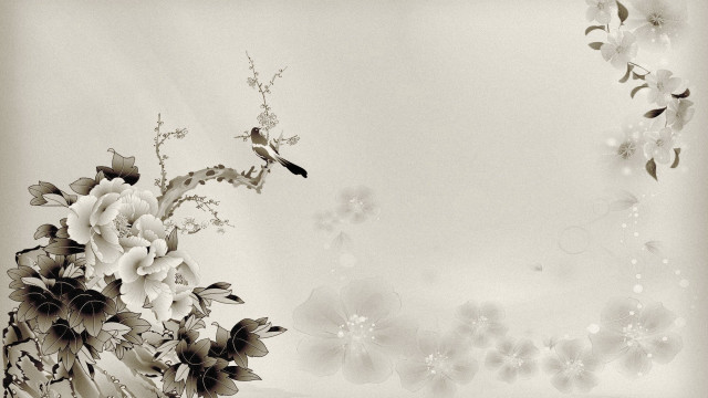 Black white flowers bird branch free wallpaper for desktop - medium preview image