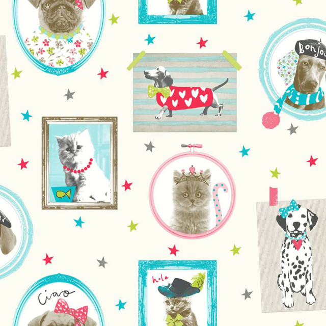 Dog cat picture frame wallpaper free wallpaper for tablet - medium preview image