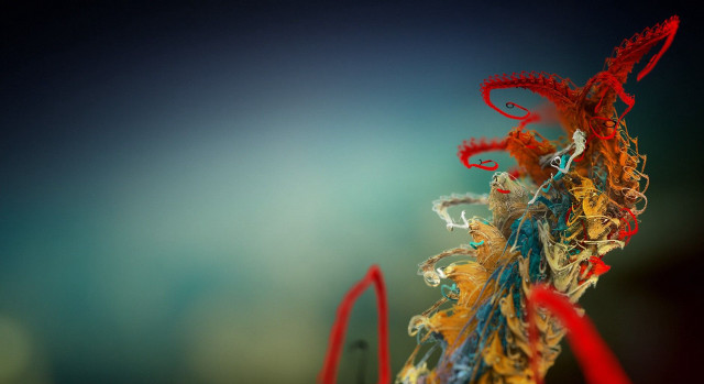 Colorful art blue background red #3 free wallpaper for desktop - medium preview image