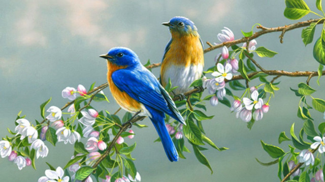 Birds branch flowering tree blue free wallpaper for desktop - medium preview image