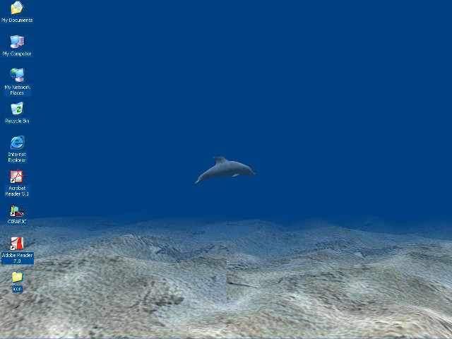 Computer dolphin water window screen free wallpaper for desktop - medium preview image
