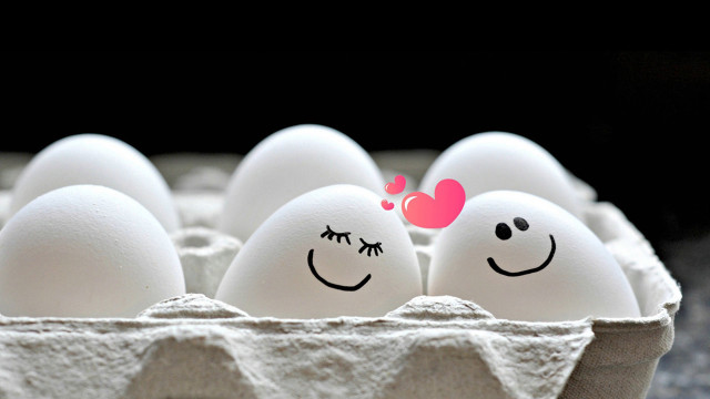 Carton of eggs with faces free wallpaper for desktop - medium preview image