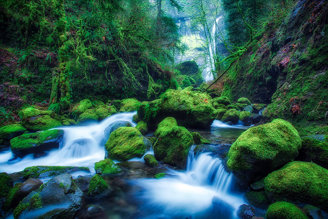 Stream lush forest rocks mossy #4 free wallpaper for desktop - medium preview image
