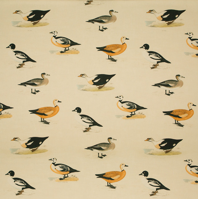 Flock of ducks on white free wallpaper for tablet - medium preview image
