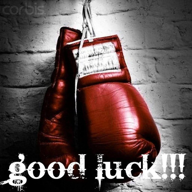 Red boxing gloves brick wall free wallpaper for tablet - medium preview image