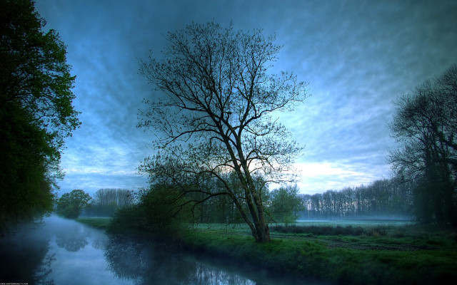 River tree sky clouds distant #2 free wallpaper for desktop - medium preview image