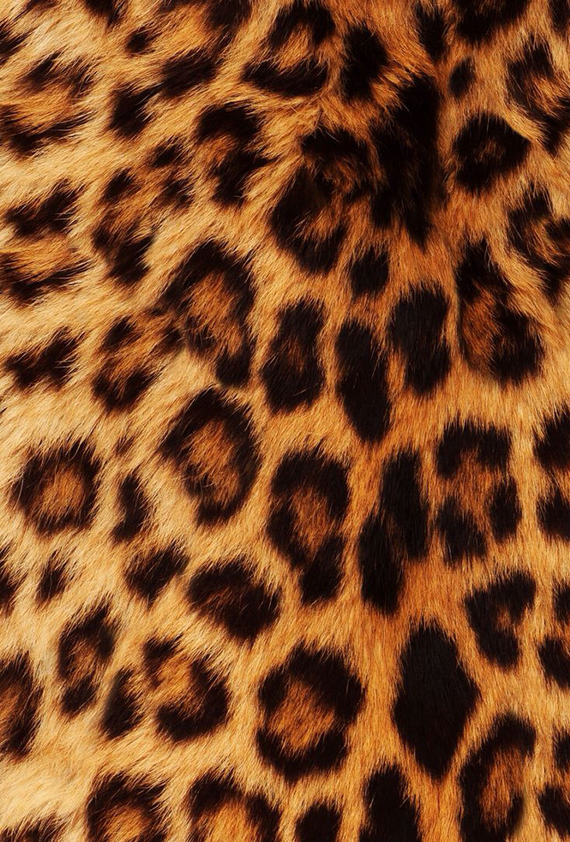 Leopard print fur closeup pattern free wallpaper for mobile - medium preview image