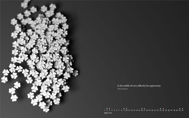 White flowers black background white free wallpaper for desktop - medium preview image