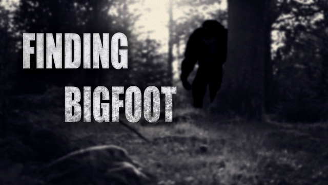 Finding bigfoot black and white free wallpaper for desktop - medium preview image