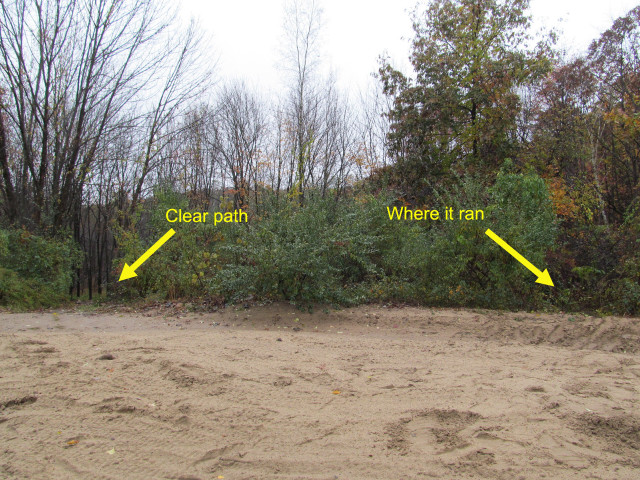 Clear main sand signature autumn free wallpaper for desktop - medium preview image