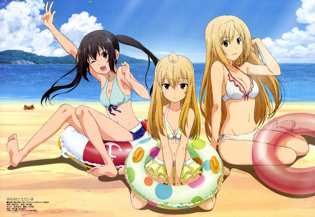 Three girls beach life preserver free wallpaper for desktop - medium preview image