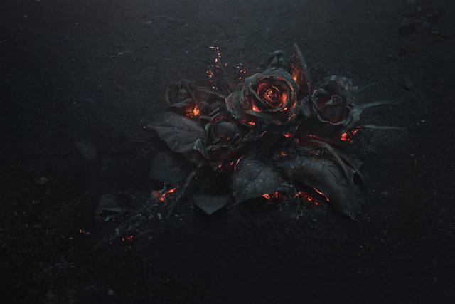 Flowers ground dark night time free wallpaper for desktop - medium preview image